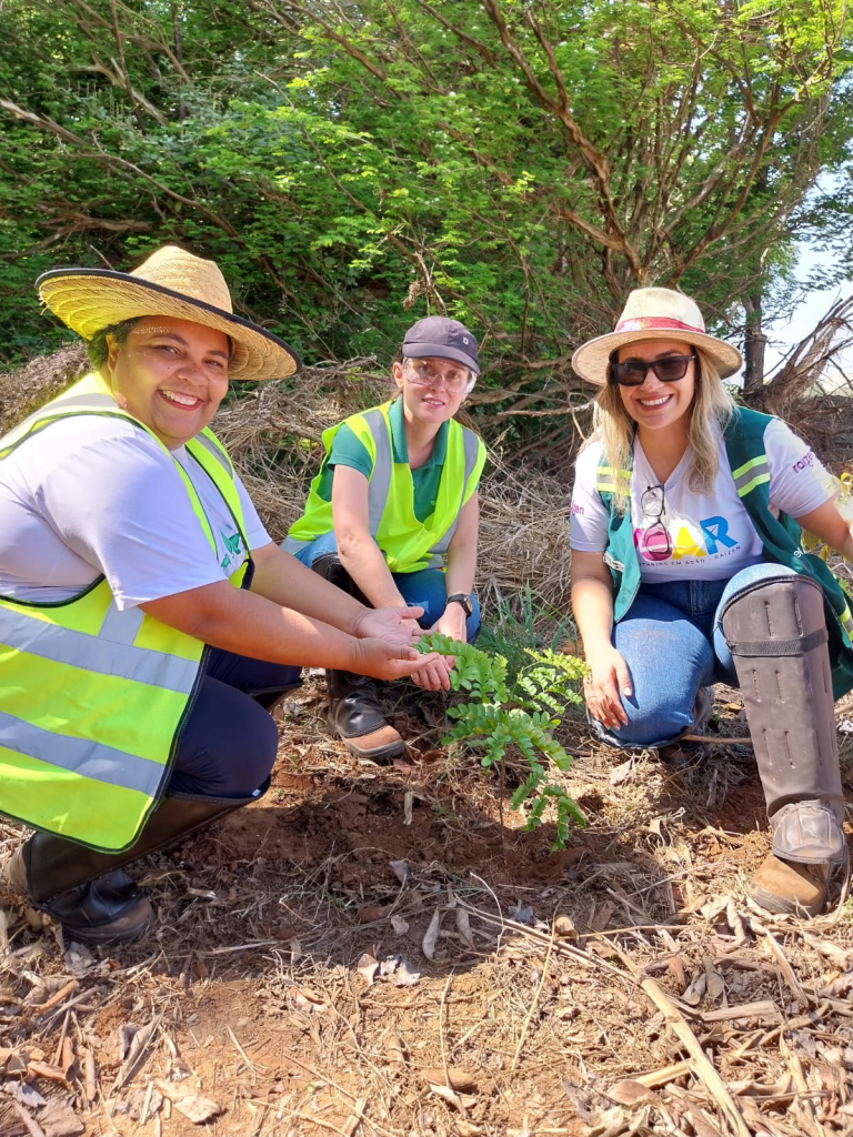 Vamos juntos plantar árvores em nosso município?